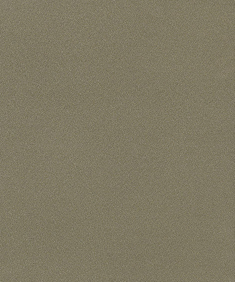 WS-2051