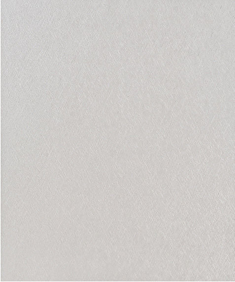 WS-3185